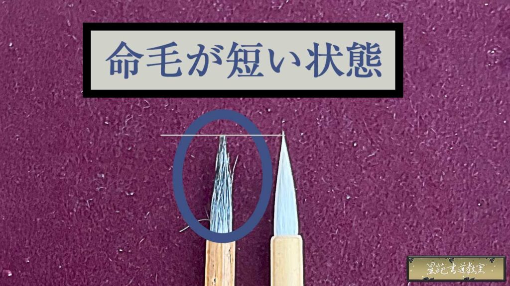 命毛が短い小筆